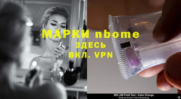 стаф Инсар