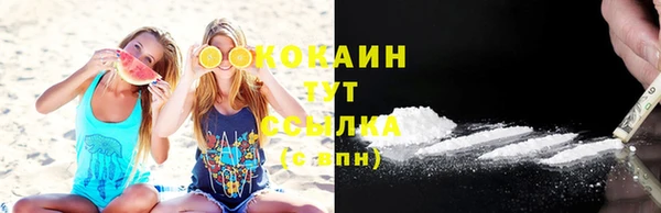 спиды Инта