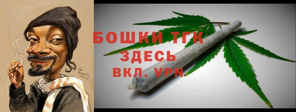 индика Иннополис
