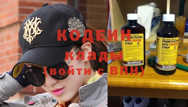 индика Иннополис