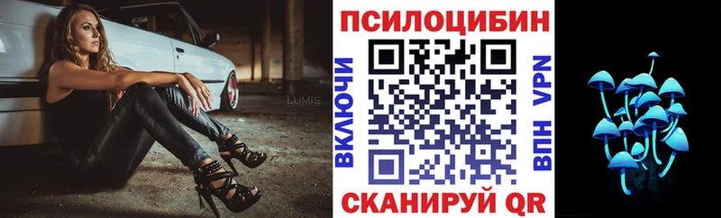 цена   МЕГА ССЫЛКА  Псилоцибиновые грибы мицелий  Калач 
